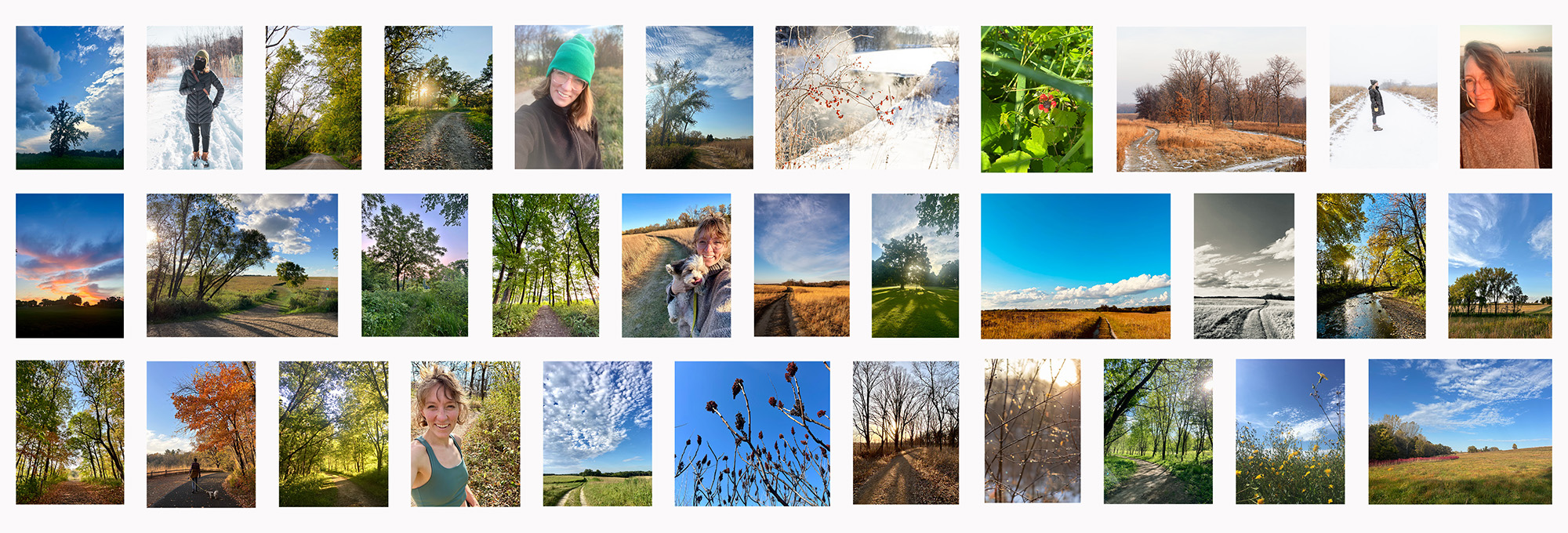 collage of Arb images