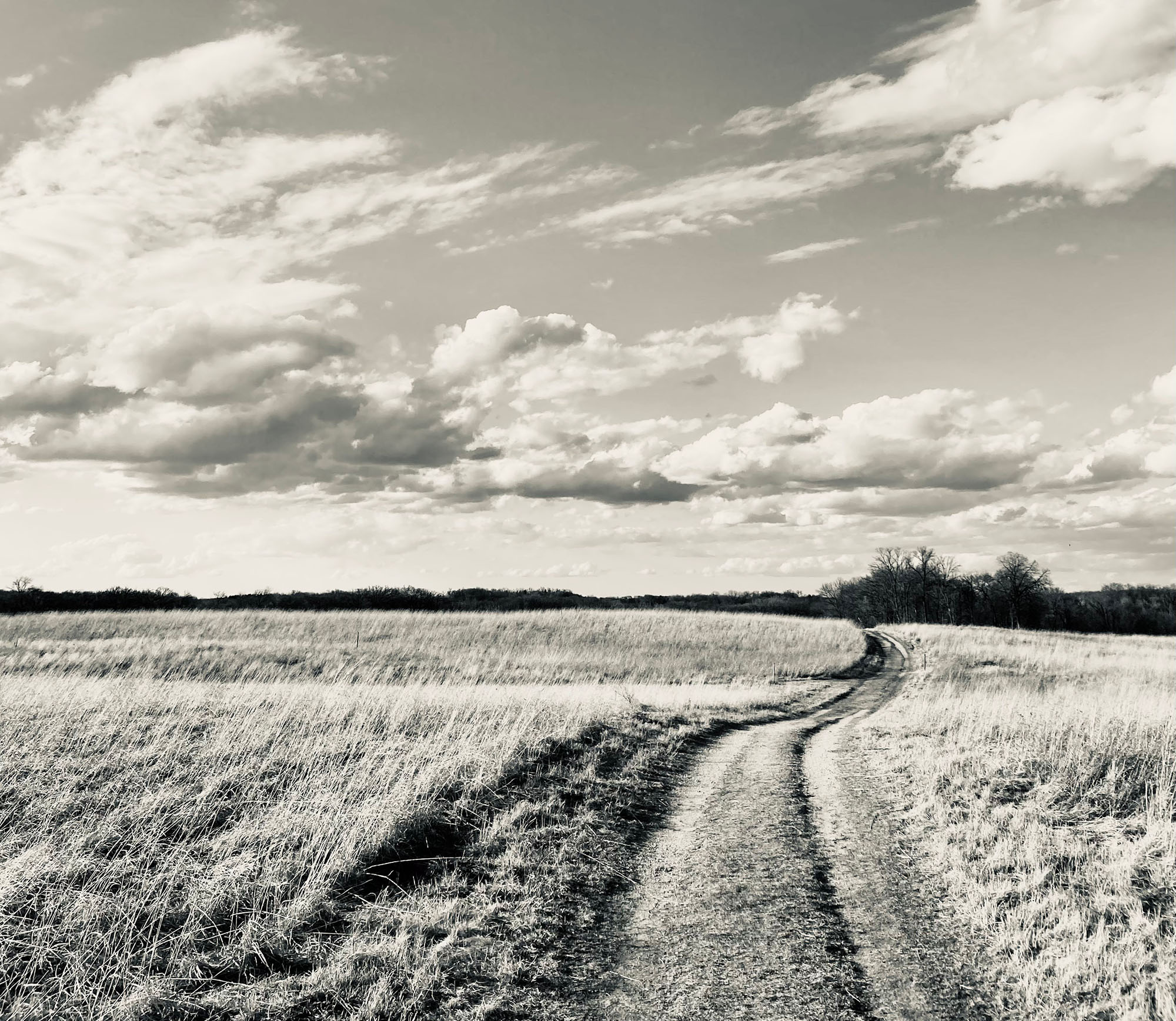 black and white photo of trail to prairie path