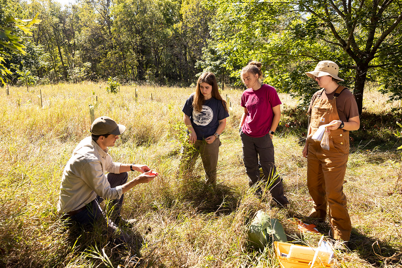 professor talking with students in arboretum