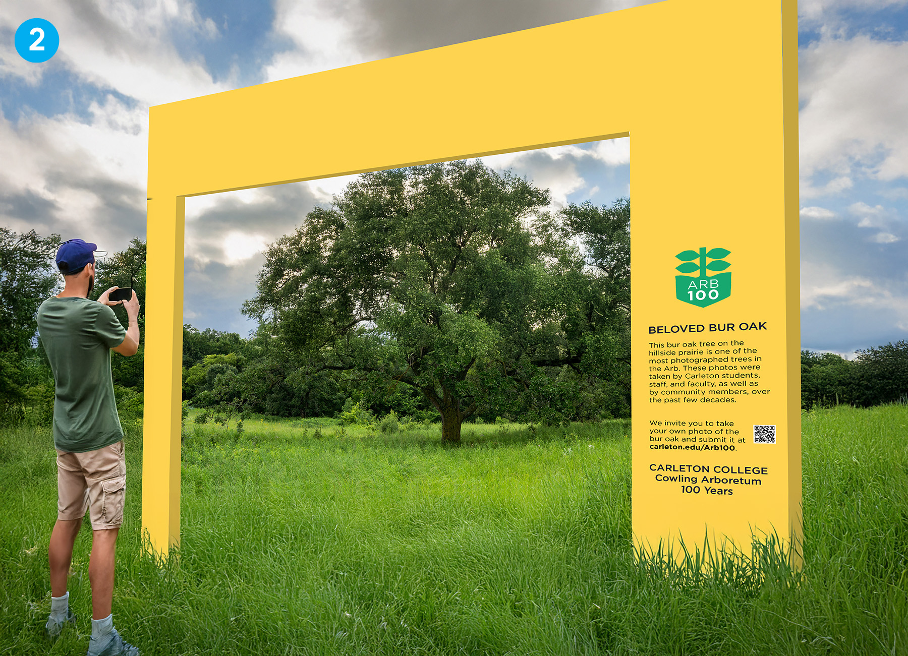 Mockup of yellow frame around bur oak with a person taking a photo