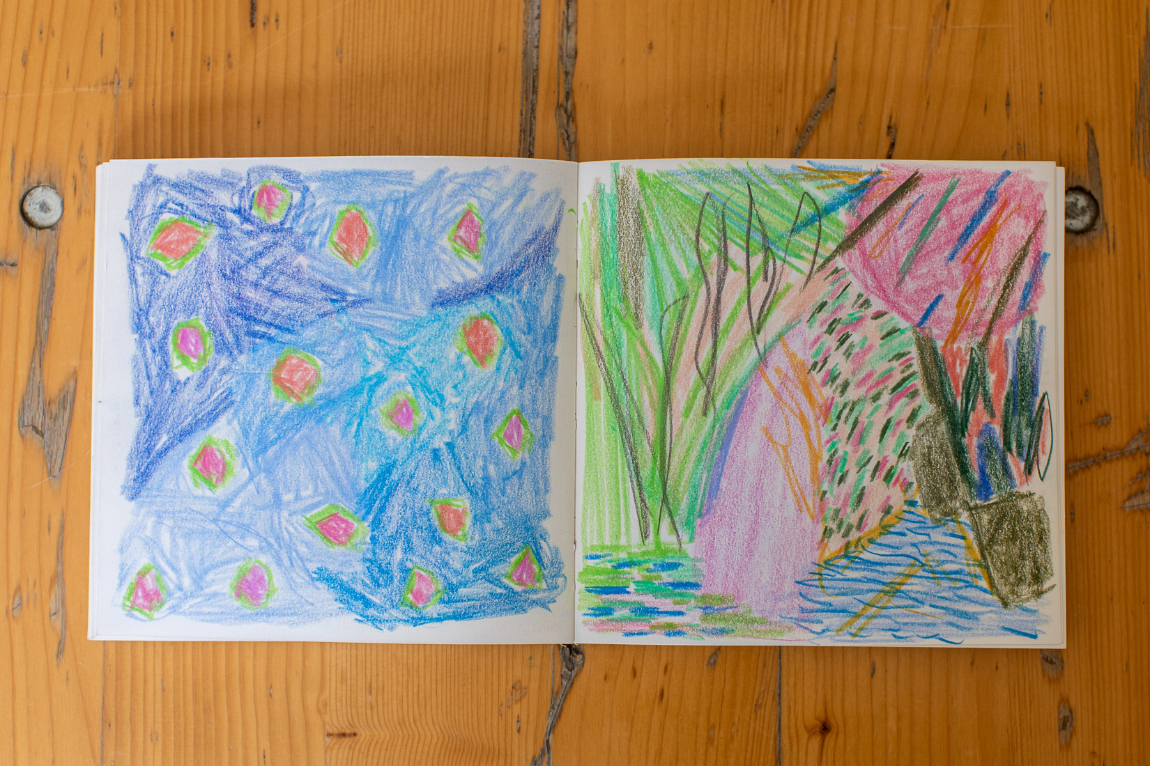 sketchbook with color pencil sketches