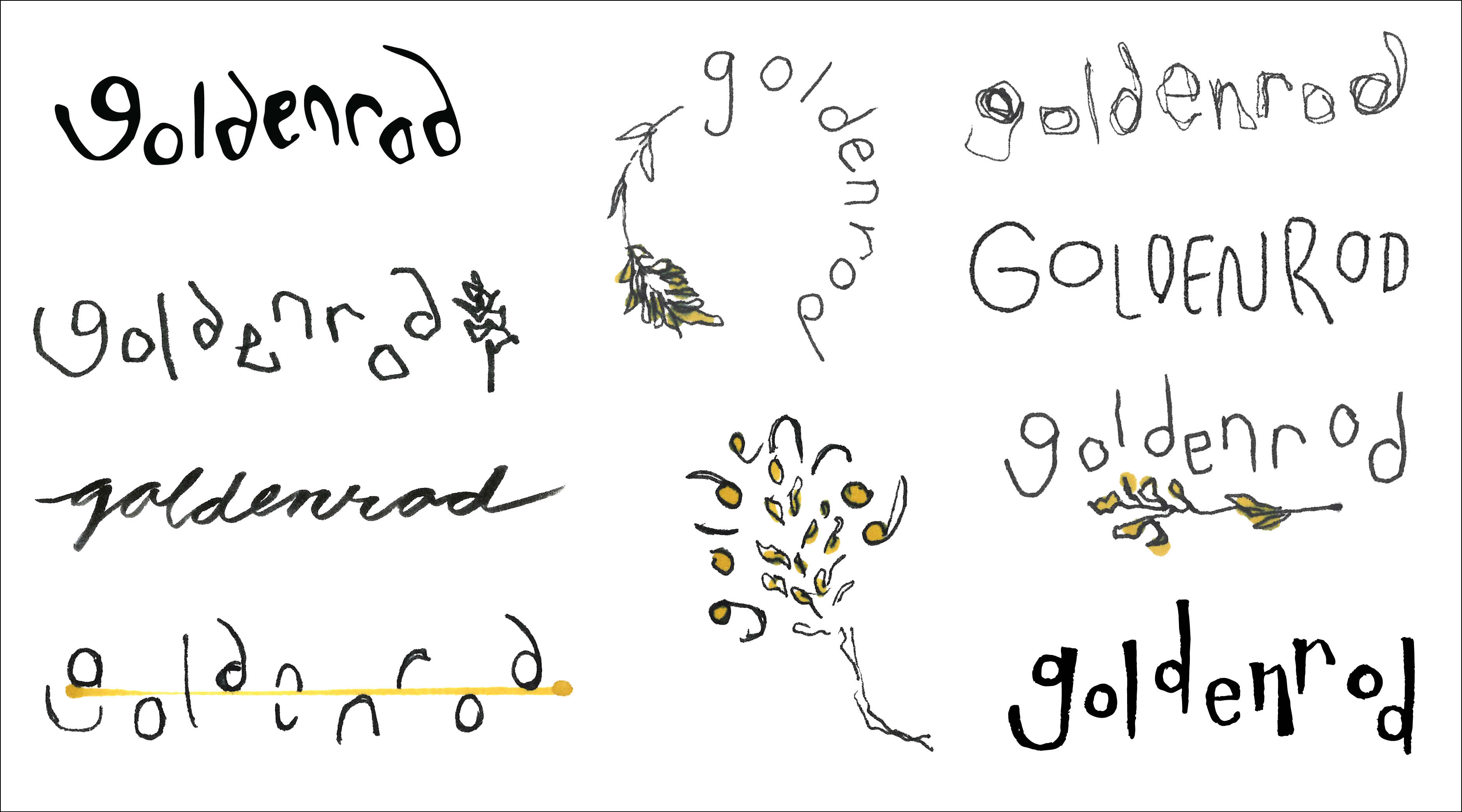 logo sketches of "goldenrod"